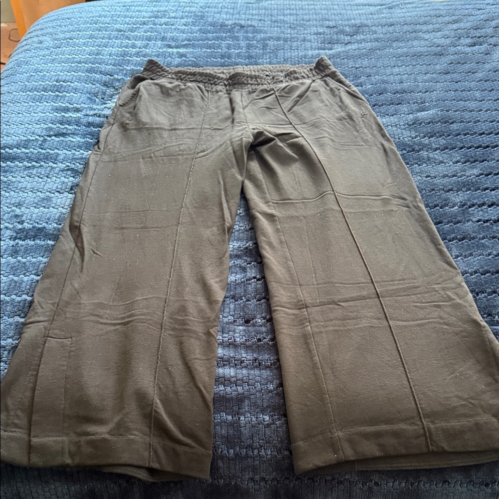 Sweaty Betty pants